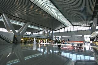 Andrew Tan-tied consortium a loser on Manila airport upgrade