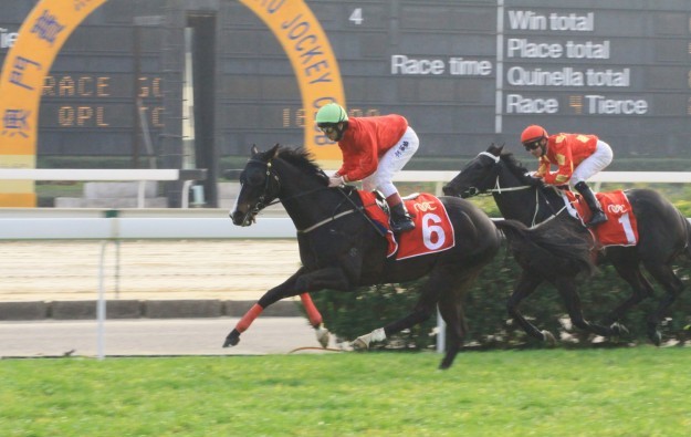 Macau Jockey Club reports wider loss for 2015