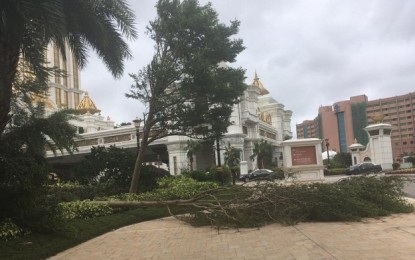 Typhoon Mangkhut cost Macau casinos US$119mln: estimate