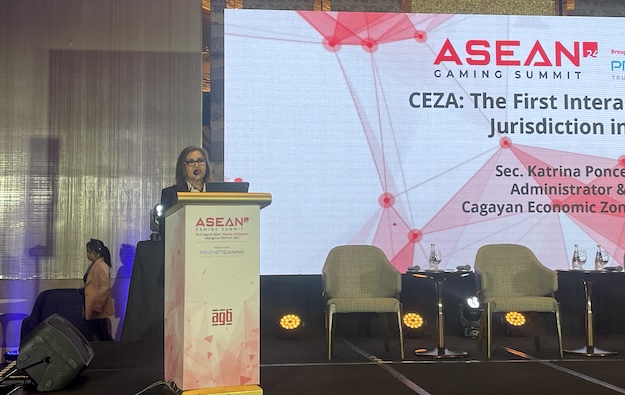 Online needs better regulation, less red tape: CEZA CEO